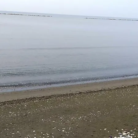 Mariliz * Larnaca