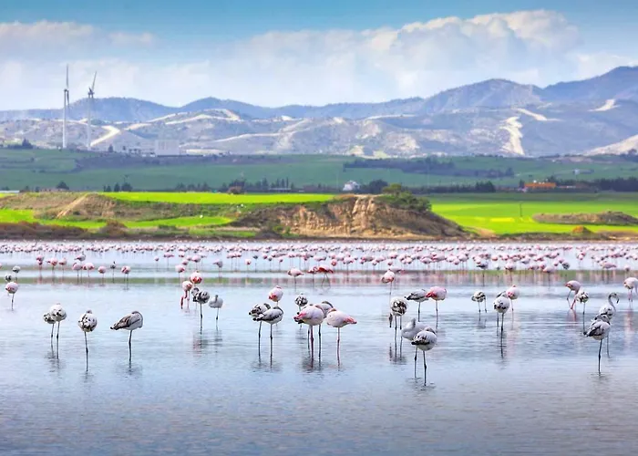 Mariliz 라르나카