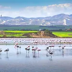 Mariliz Larnaca