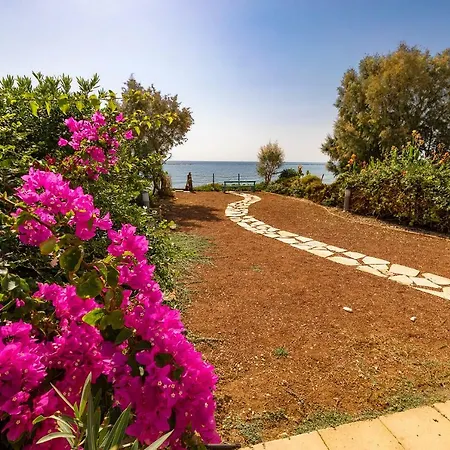 Mariliz * Λάρνακα